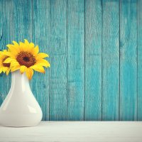 White clay pot for flowers
