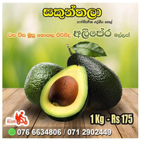 Tasty Avacado